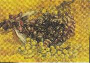 Vincent Van Gogh Stillleben mit Weintrauben oil painting picture wholesale